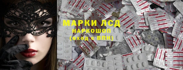 сатива Дмитриев
