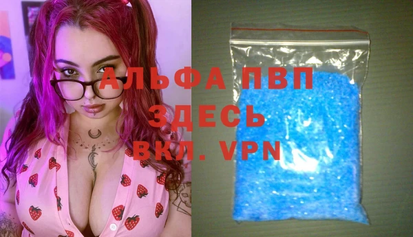 сатива Дмитриев