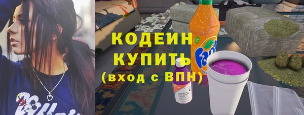 сатива Дмитриев
