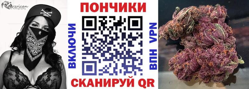 дарк нет официальный сайт  Новоржев  Бошки марихуана тримм 
